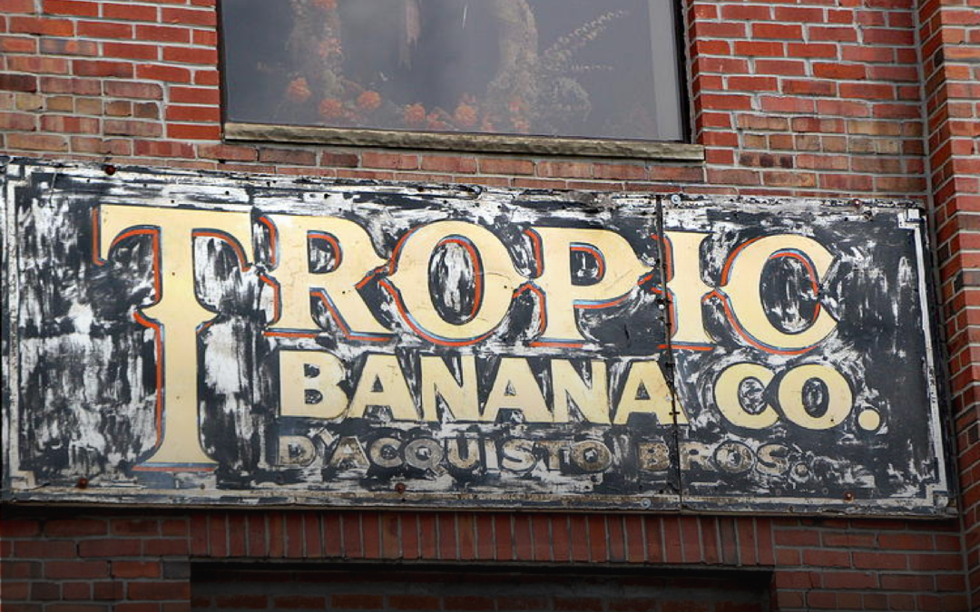 Tropic Banana
